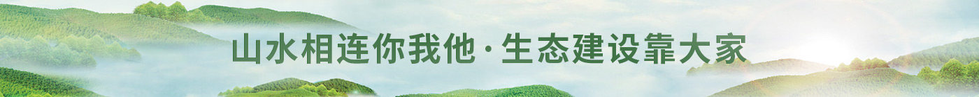 绿水青山，就是金山银山